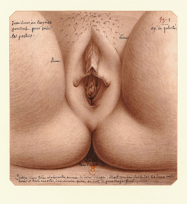 Age of Puberty, Vagina Face Mask by Jean-Jacques Lequeu