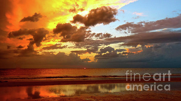 Sunset Photographs