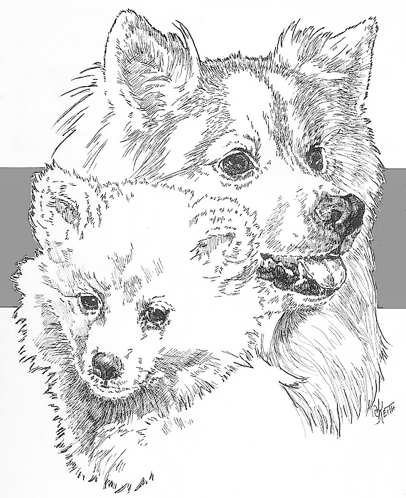 Barbara Keith - American Eskimo and Pup