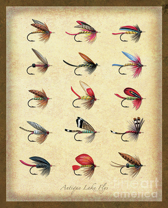 Antique Flies Tapestry by Jon Wright - Pixels Merch