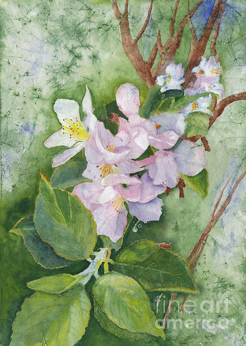 Conni Schaftenaar - Apple Blossoms in Spring Watercolor