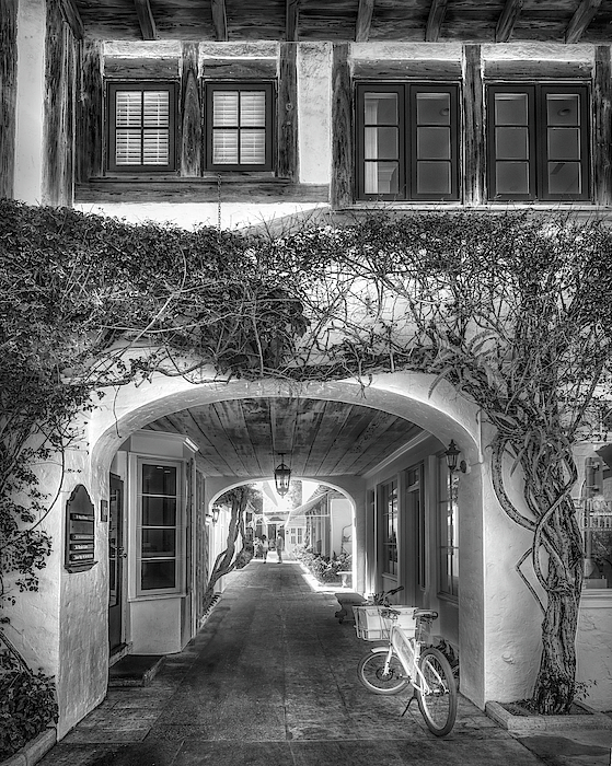Debra and Dave Vanderlaan - Archway to Paradise in Black and White