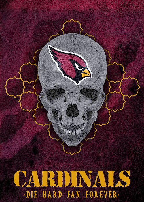 Arizona Cardinals Galaxy Logo Art by William Ng