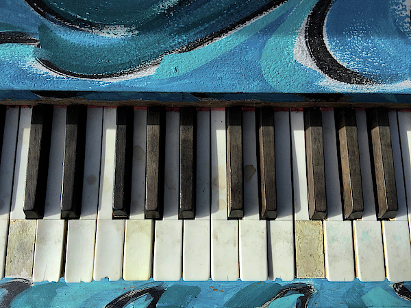 Piano Key Towel Collection