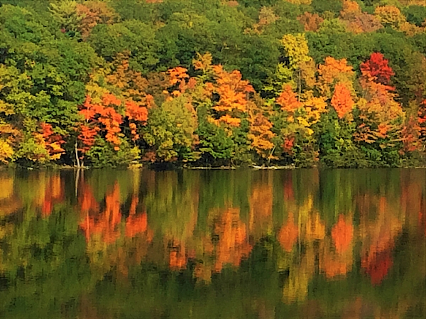 Rose Wark - Autumn Foliage Reflections