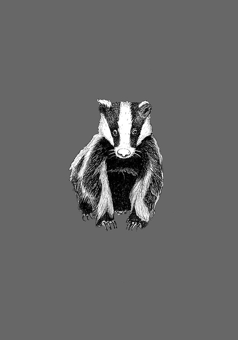 Badger Painting