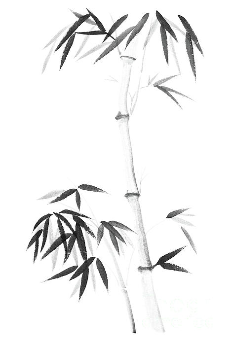 Bamboo stalks with leaves Japanese Zen Sumi ink painting on whit Beach  Towel by Awen Fine Art Prints - Pixels