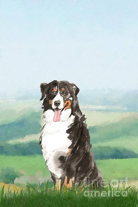 bernese mountain dog throw blanket