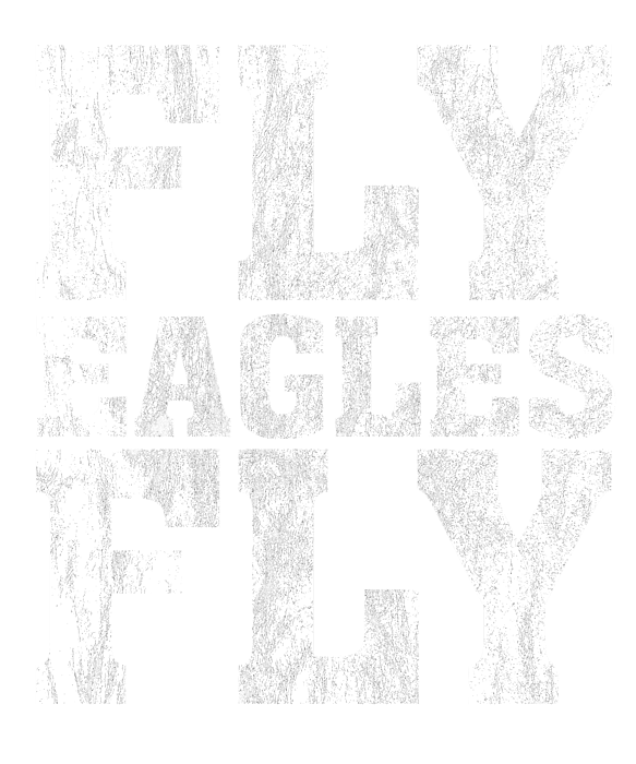 Fly Eagles Fly! Philadelphia Eagles Inspired Football T-Shirt, Gift for  Philadelphia Football Fans