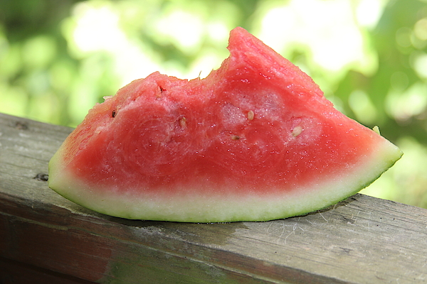 Watermelon Beach Towel