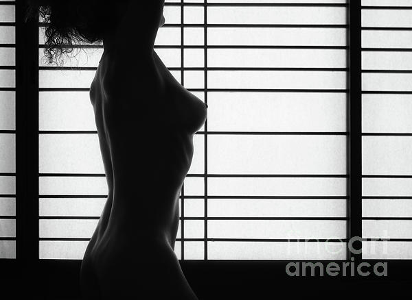 Naked Woman Silhouette Showing Boobs Black and White Laptop & iPad