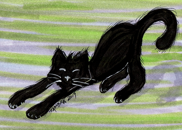 https://images.fineartamerica.com/images/artworkimages/medium/2/black-cat-stretching-tambra-wilcox.jpg