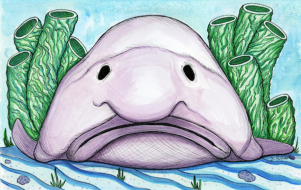 Blob Fish - Date 2  Blobfish, Fish drawings, Happy animals