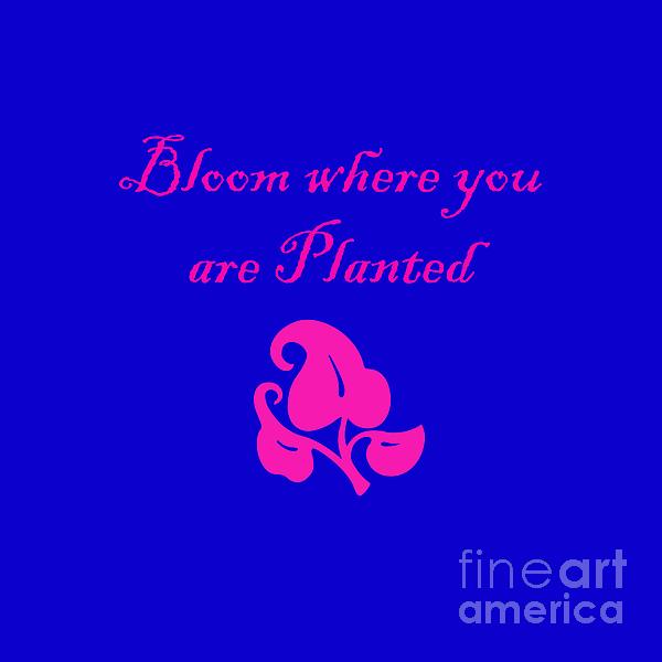Bloom Where You Are Planted Digital Art