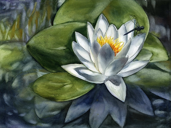 Insects Art