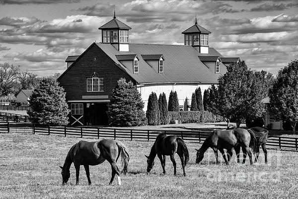 Bob Phillips - Bluegrass Horse Farm 2