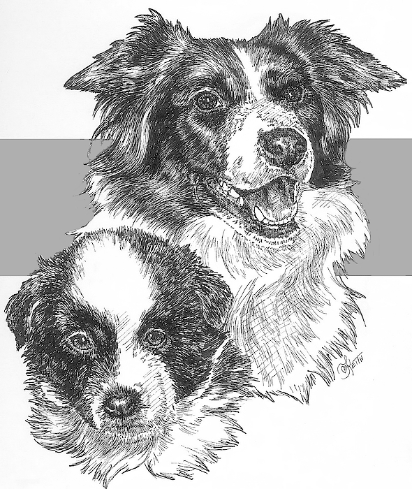 Barbara Keith - Border Collie and Pup