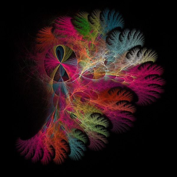 Brilliant Flare Coral Fractal Digital Art