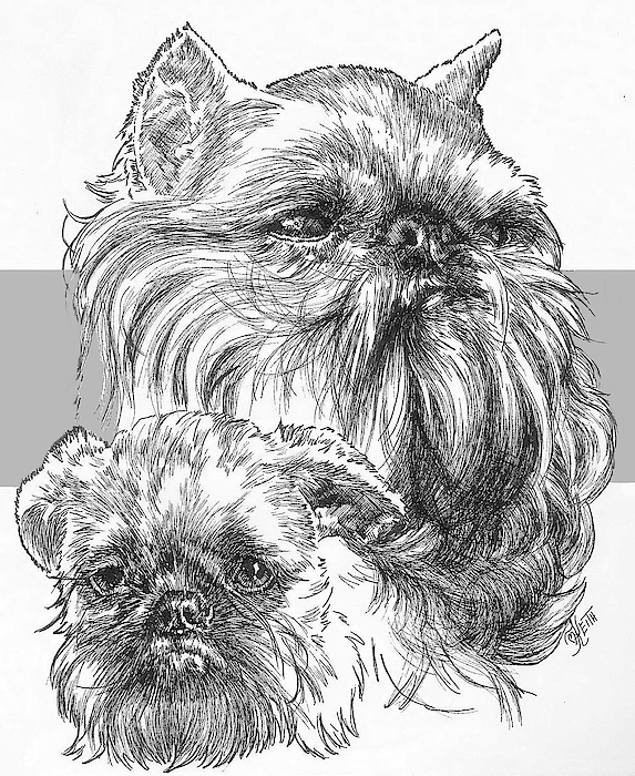 Barbara Keith - Brussels Griffon and Pup