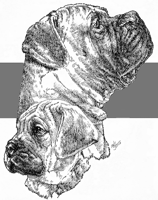 Barbara Keith - Bullmastiff and Pup
