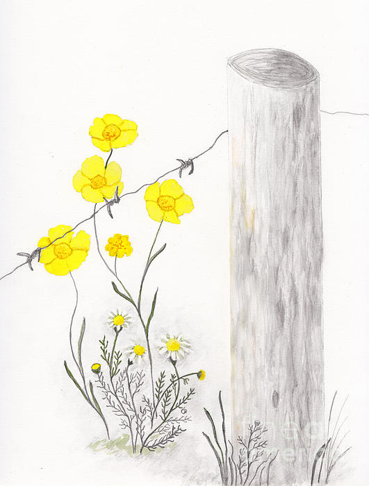 Conni Schaftenaar - Buttercups and Chamomile by Fence