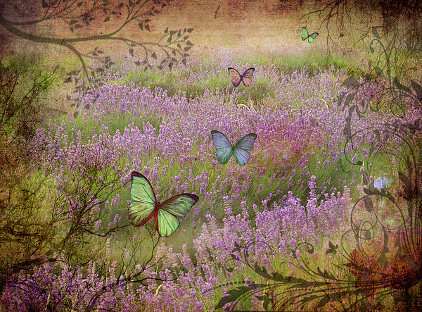 Butterfly Garden Greeting Card 