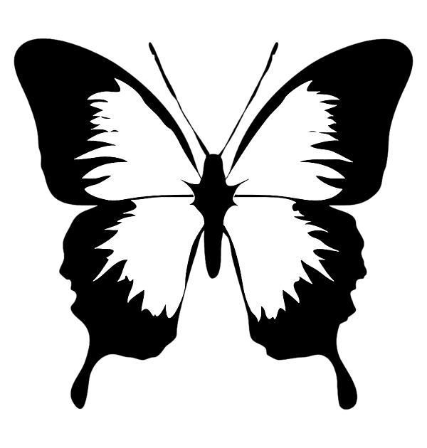Butterfly In Black And White Sticker by Tom Hill - Fine Art America
