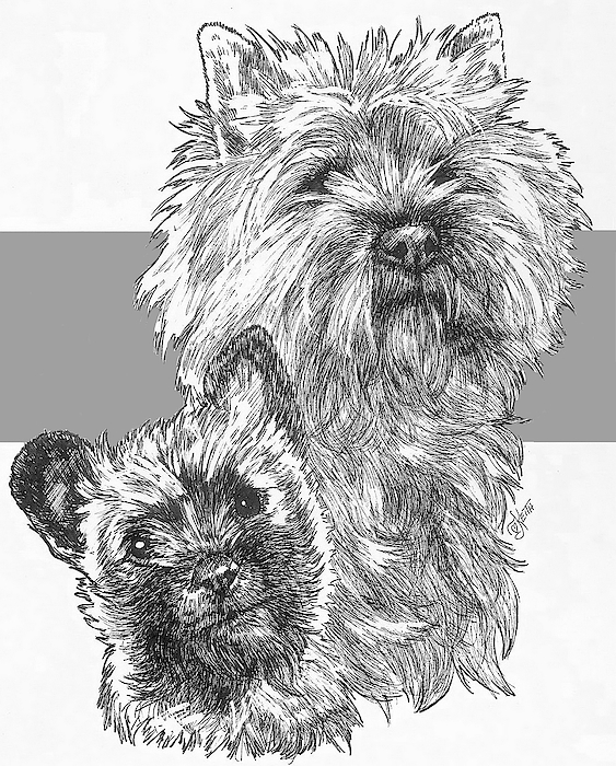 Barbara Keith - Cairn Terrier and Pup