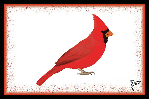 NCAA Louisville Cardinals Sherpa Fleece Blanket 001