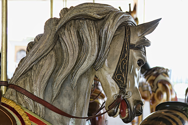 Alana Thrower - Carousel Pony