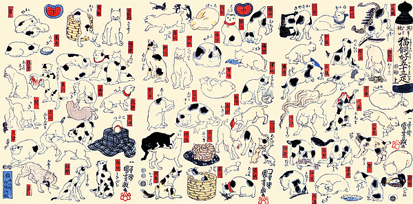 Cat Art