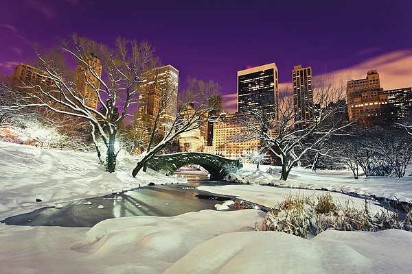 HNL Linge De Lit Central park hiver neige snow ville city New york windex NYC