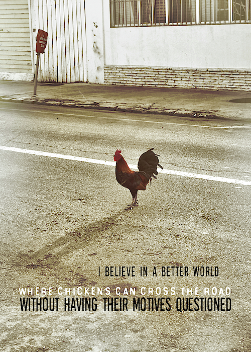 Chicken Xing Quote Puzzle For Sale By Jamart Photography