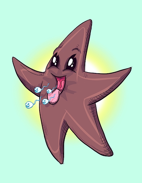 Chocolate Starfish Drawing