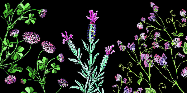 Irina Sztukowski - Clover Lavender And Sweet Pea Wildflowers