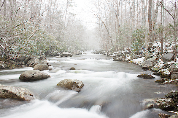Rob Franklin - Cold River in the Smokies