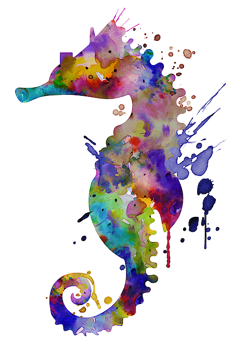 Marian Voicu - Colorful Seahorse Silhouette