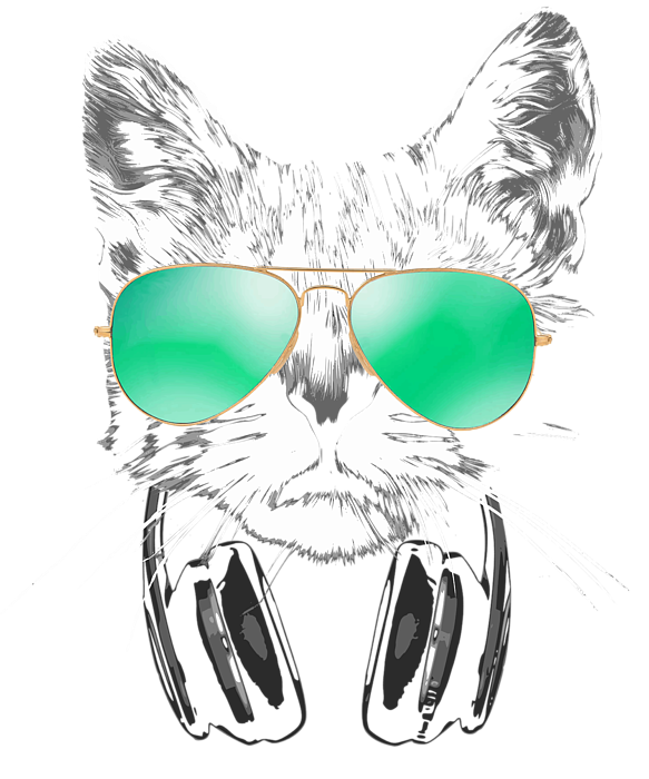 Funny Cute DJ Cat Metal Print for Sale by Nextlevellife