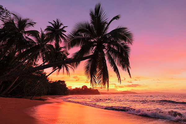 Costa Rica, Limon, Puerto Viejo De Talamanca, Caribbean, Caribbean Sea ...