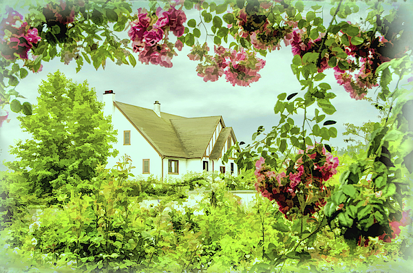 Marilyn Wilson - Cottage Garden