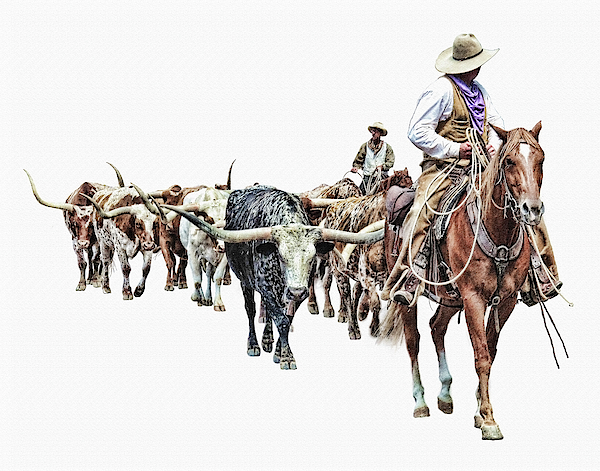 Cowboy Western Roundup Time Horse Ranch Coffee Mug | Zazzle