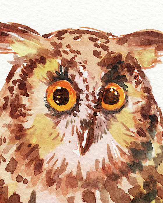 Irina Sztukowski - Curious Owl Watercolor 