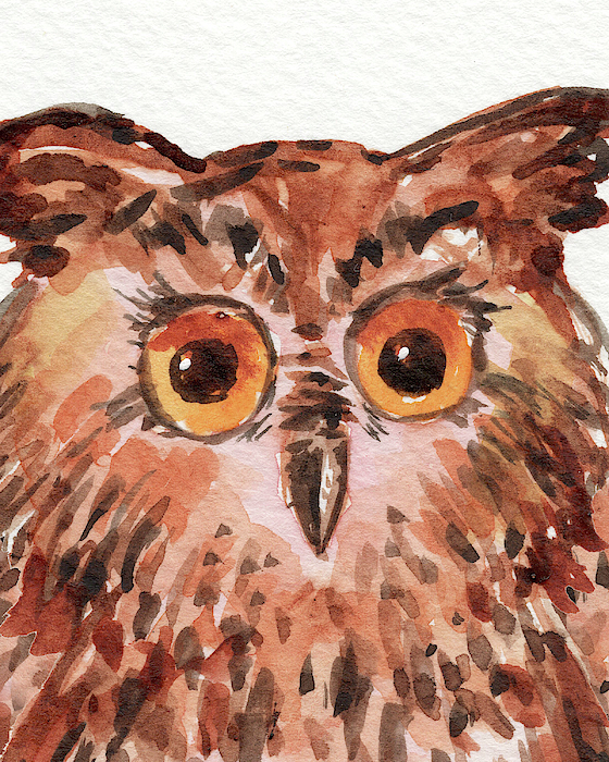 Irina Sztukowski - Curious Owl Watercolor Painting