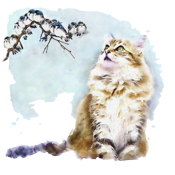 Marian Voicu - Cute Cat on the Lurk