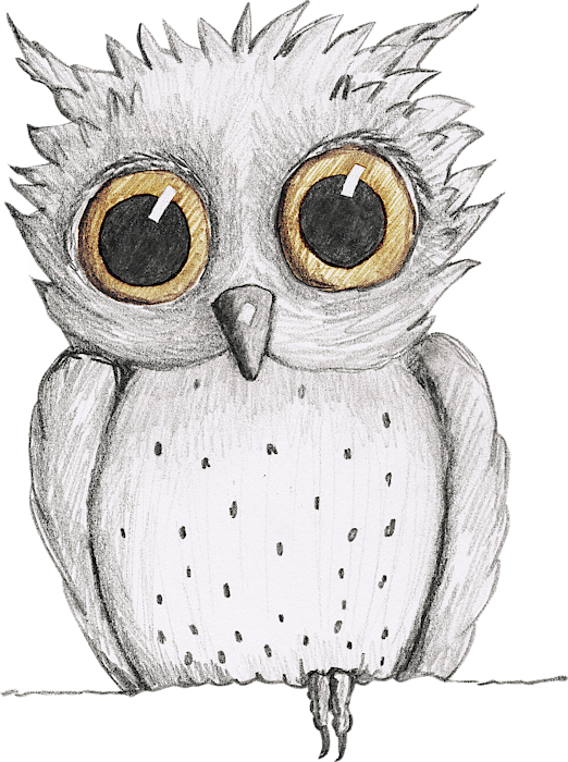 2,000+ Simple Owl Drawings Stock Illustrations, Royalty-Free Vector  Graphics & Clip Art - iStock