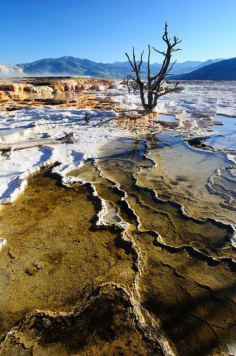 Yellowstone National Park Wooden Jigsaw Puzzle – 24 Pieces