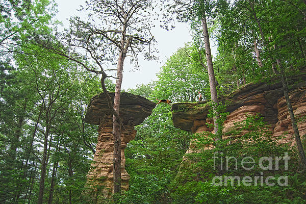 Natural Rock + Forest Standing Surfaces