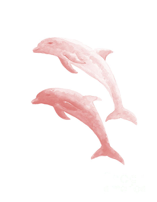 Dolphins Baby Pink Poster Sea Animals Watercolor Art Print Duvet Cover by  Joanna Szmerdt - Pixels