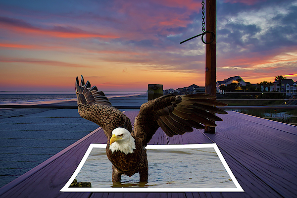 TJ Baccari - Eagle Pop Out on Table at Sunset