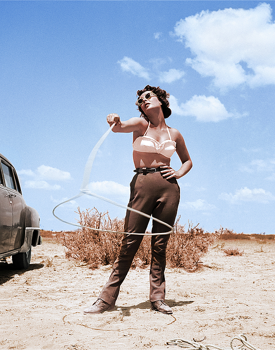 Elizabeth Taylor Art